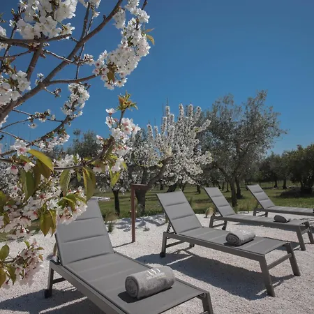 Villa Td Marlu Luxury Trulli Experience With Stunning Pool *