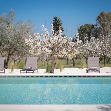 Villa Td Marlu Luxury Trulli Experience With Stunning Pool Castellana Grotte